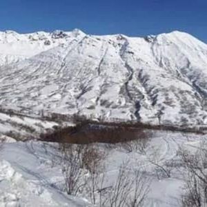 Meet your Posher, Benito